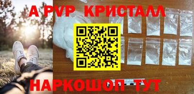 стаф Малгобек