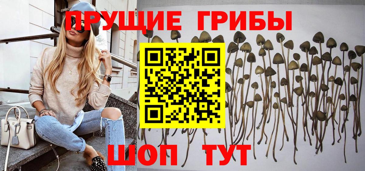 Дзержинский  Псилоцибиновые грибы прущие грибы  Вход с VPN 